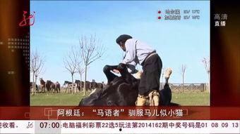 马语者在线观看免费